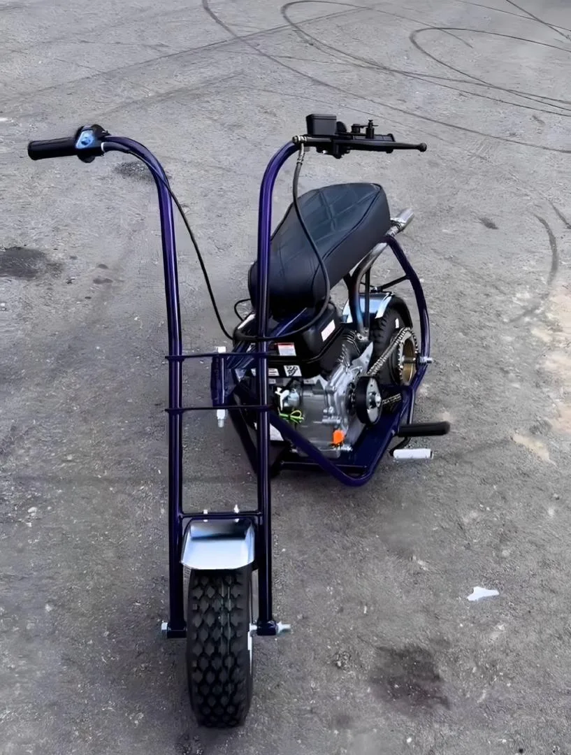 Fast Lane Bikes – Purple Reign | Top Speed 50 MPH