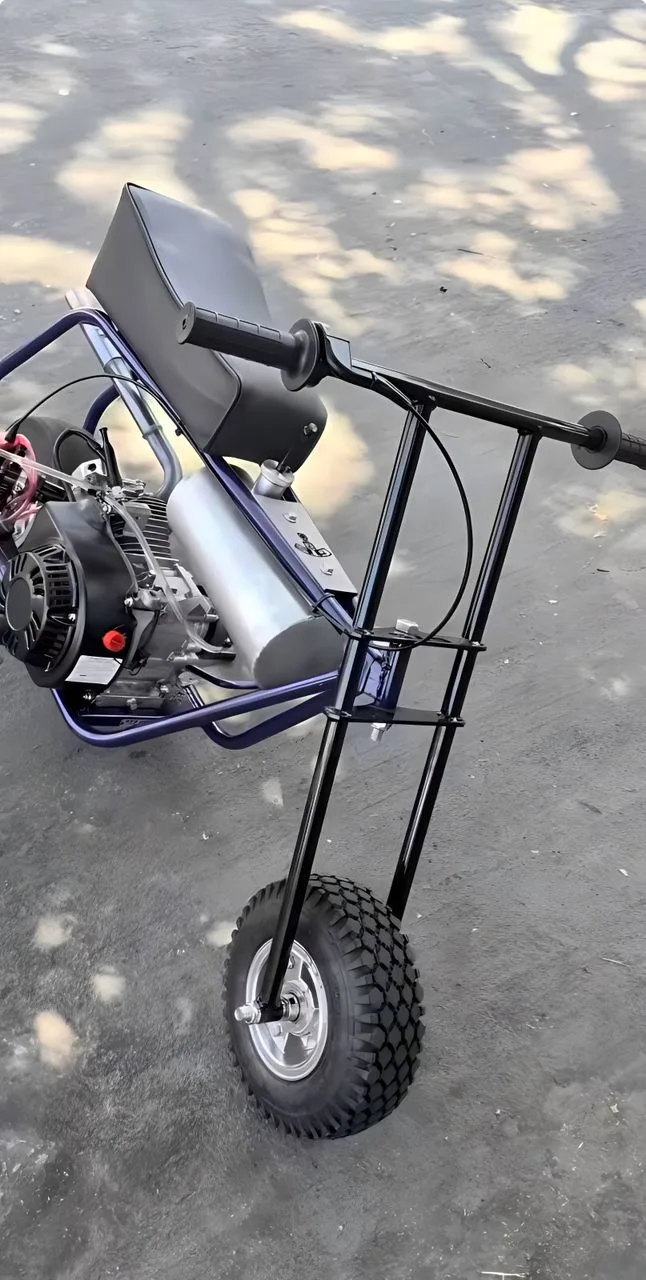 Purple Reign Custom Mini Bike — Candy Purple & Black Edition